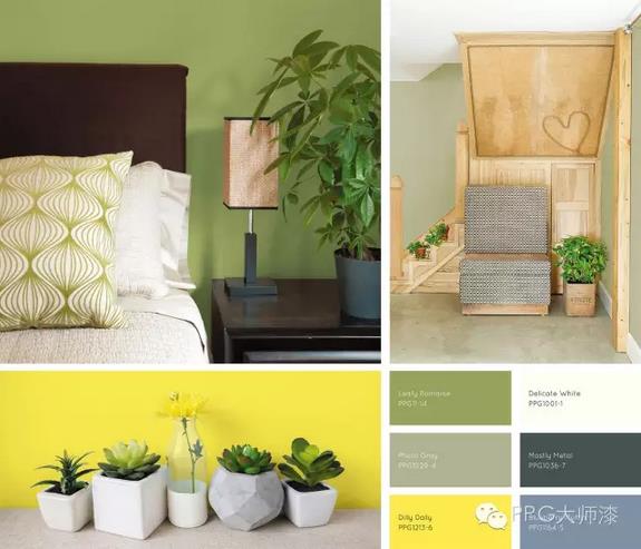 PPG����2017��ɫ������څ�� �Ă����}���о���