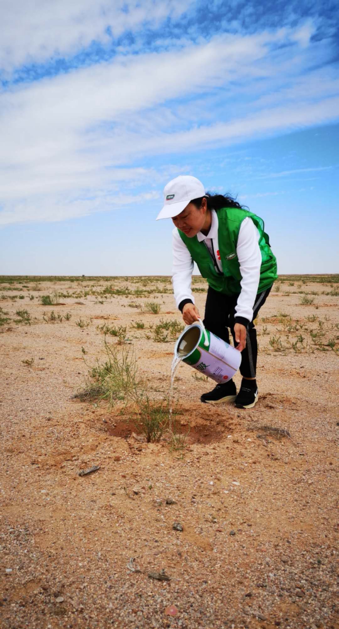 image009.jpg image009.jpg